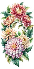 Watercolor Illustration of Chrysanthemums with Green Leaves on a White Background