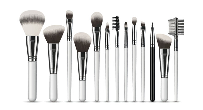 A collection of professional makeup brushes with white handles and silver ferrules.