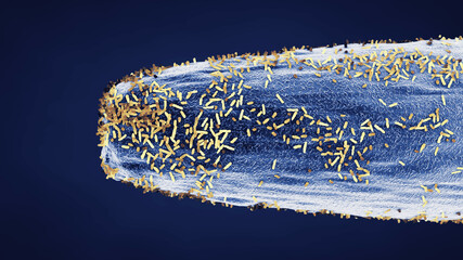 Bacteria on the tip of a needle. Microscopic pathogens congregated on the point of a magnified needle. Comparative scale between pathogenic microorganisms and everyday objects	