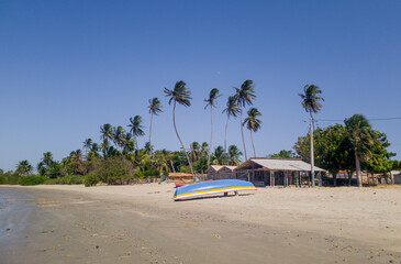 Fishing village by the seaside with palm trees, blue sky, and traditional boat in focus. Piaui, Brazil.