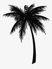 palm tree silhouette © Arhan