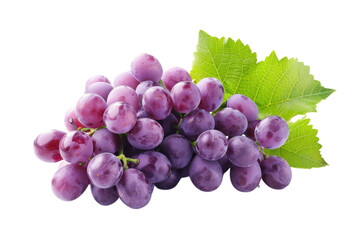 Fototapeta premium Plump purple grapes glistening with dew, resting on vibrant green leaves in soft light