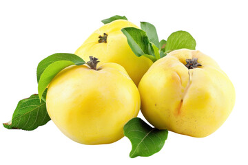 Bright, ripe quinces with fresh green leaves set against a clean, white background