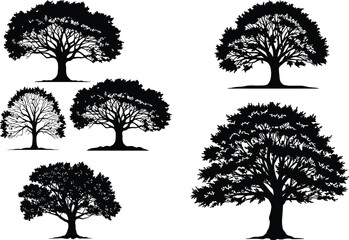 Black tree silhouette vector set with diverse branching styles, seasonal foliage density, and minimalist nature design for stock illustration use