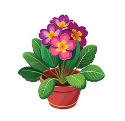 Vibrant potted primrose flowers blooming with lush green leaves