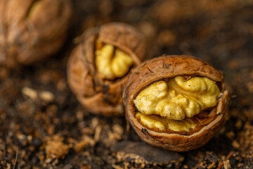walnuts and kernels captured in a rustic natural setting. Some nuts are cracked open, revealing the rich interior texture, while others remain whole on a dark wooden surface. 