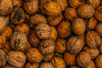 walnuts and kernels captured in a rustic natural setting. Some nuts are cracked open, revealing the rich interior texture, while others remain whole on a dark wooden surface. 