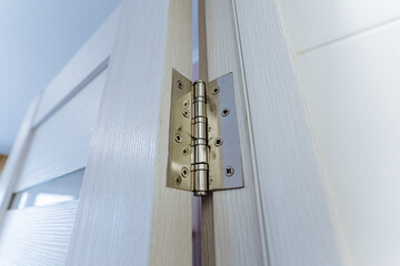 This image presents a closeup view of a brass hinge meticulously placed on a contemporary door,...