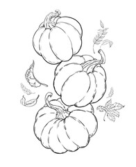 hand drawn vegetables