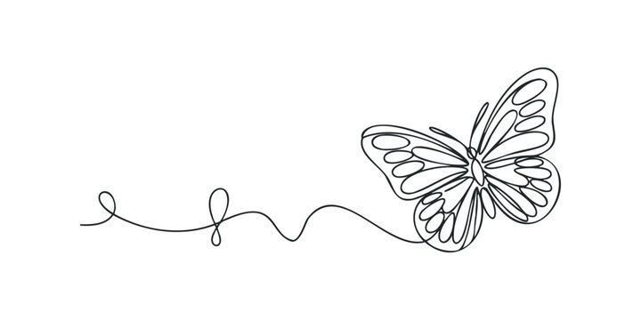Minimalist single line drawing of a butterfly with a swirling trail