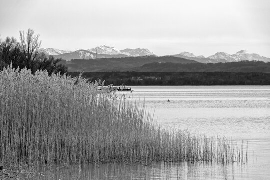 Lake called Ammersee with a wooden landing pier and the bavarian mountains in the background, black and white photo, Alps, Bavaria, Germany, Europe - Powered by Adobe