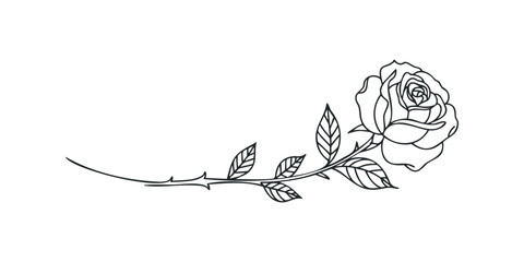 Rose stem with leaves and flower line drawing
