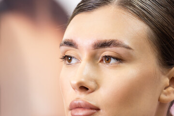 Close-up Portrait of a Woman with Perfectly Styled and Laminated Eyebrows. Fresh Look