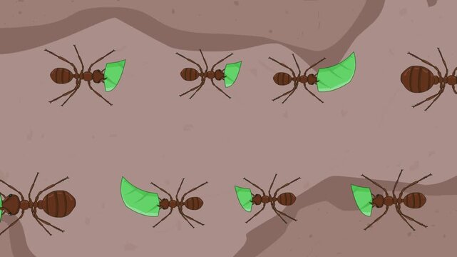 Animated video of a group of ants walking on the ground and carrying leaves, art, insect, cartoon, 2D.