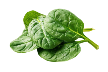 Vibrant green spinach leaves on a clean white surface, highlighting their texture isolated on transparent background