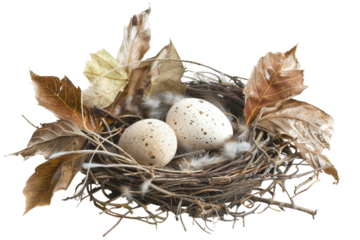Nature's delicate artistry with a nest of speckled eggs surrounded by autumn leaves isolated on transparent background