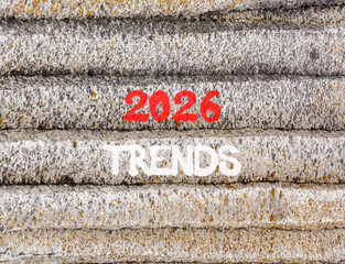 2026 Trends new year symbol. Concept words 2026 Trends on beautiful grey mountain wall. Beautiful grey mountain wall background. Business and 2026 Trends new year concept. Copy space.