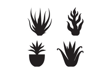 Obraz premium Four black silhouette illustrations of succulent plants