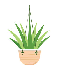 Potted Aloe Vera Plant in a White Hanging Planter Illustration Simple Indoor Gardening and Home Lifestyle Vector