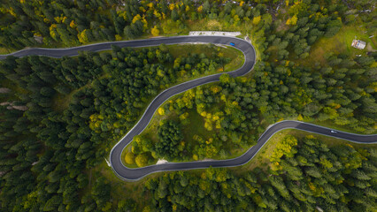 driving road, twisty curved in forest. Corners and turns. Driving paradise.