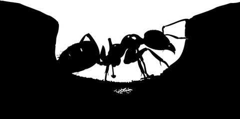 Drawn ant silhouette emerging from dark cave entrance symbolizing perseverance and strength