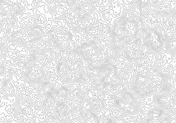 Intricate abstract pattern of tiny black lines on a white background