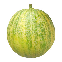 Variegated Malta Fruit Stock Photo