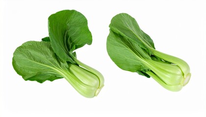 Fresh Bok Choy, Green Vegetables, Healthy Eating, Asian Cuisine, Two Heads, Isolated Background, Vib