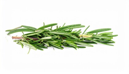 Fresh Rosemary Sprig, Culinary Herb, Aromatic, Green, Cooking Ingredient, Mediterranean, Fragrant, P