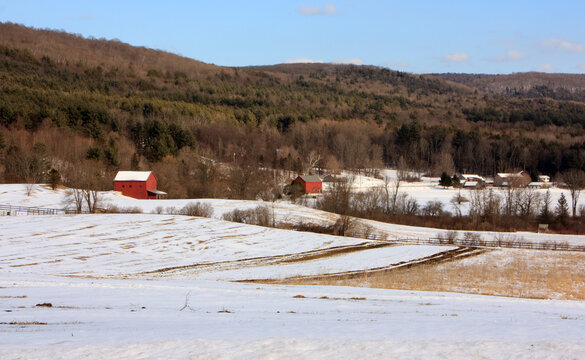Rural winter landscape in the afternoon with a couple of red barns against a mountain in the background, Tyringham, Massachusetts