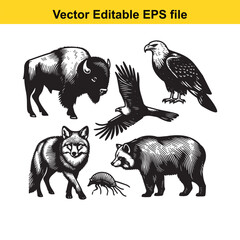 Vector art of collection of north american wildlife including a buffalo, eagle, fox, raccoon, and beetle