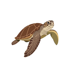 Naklejka premium Majestic sea turtle glides gracefully through clear ocean waters, a symbol of ancient wisdom and marine life.