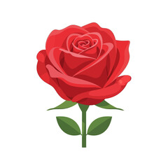 Stunning vibrant red rose symbolizing love and passion, perfect for romantic occasions and heartfelt expressions.