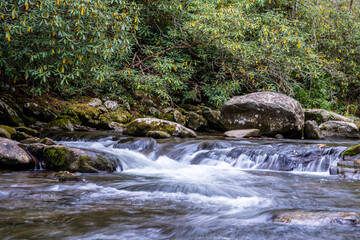Fototapeta premium Smoky Mountain Stream