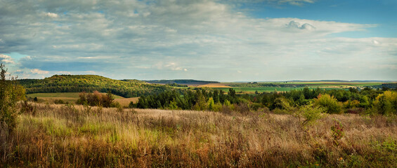 Panorama of autumn colors of dry grass, pine trees, fields and forests on the horizon under a blue sky