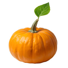 pumpkin isolated on white background