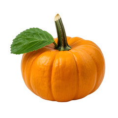 pumpkin isolated on white background