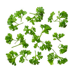 parsley isolated on white background