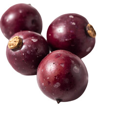 plums isolated on white
