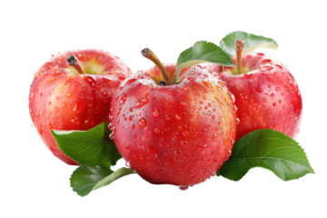Freshly picked red apples glistening with dew on a white background inviting a refreshing bite