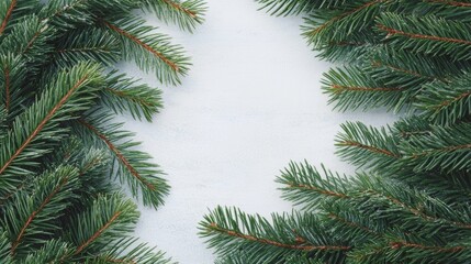 Obraz premium A Christmas tree with green needles and brown tips. The tree is surrounded by a white background. Concept of warmth and holiday cheer