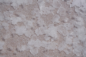 Surface covered with crystallized salt, showing natural texture and uneven thickness. Geological...