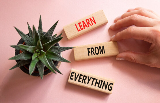 Learn from Everything symbol. Wooden blocks with words Learn from Everything. Businessman hand. Beautiful pink background with succulent plant. Business and Learn from Everything concept. Copy space.