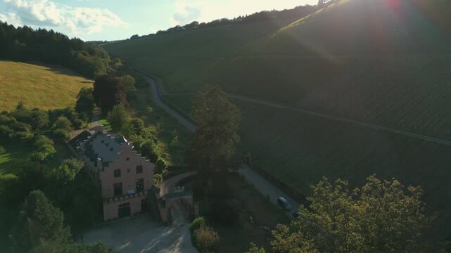 Mertsedorf Weinberg Weingut 
