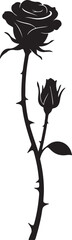 Black Silhouette of Two Roses on a Thorny Stem on White Background flower white background and transparent background