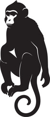 Silhouette of a monkey crouching with a curled tail on a white background animal primate white background and transparent background