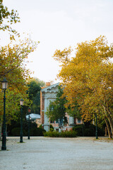 A tranquil square bathed in warm afternoon light showcases antique lampposts and an elegant neoclassical building framed by autumn foliage. Capturing Venice's historic charm with timeless beauty.