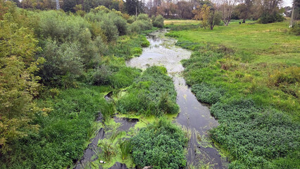 Serene green landscape with lush vegetation and stream for nature inspiration