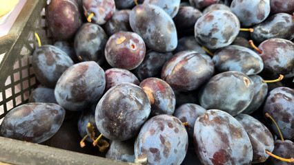 Fresh plums at outdoor farmers market displaying vibrant autumn harvest