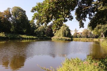 Fototapete bei efototapeten.de bestellen   
